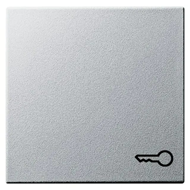 Gira Wippe Tür alu System55 028726