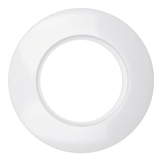 Berker Ringplatte 1f.pws 138109