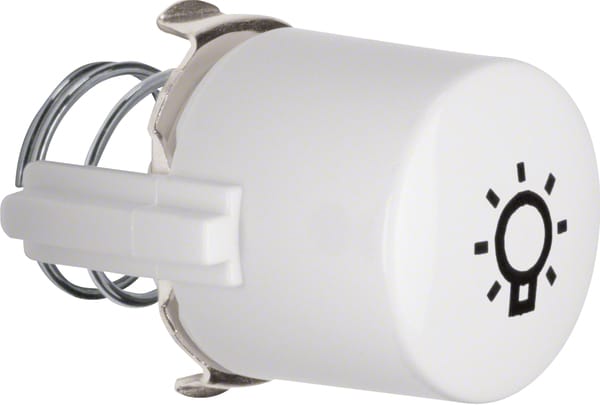 Berker Tasterknopf pws für Symbol Licht 1226