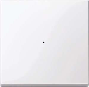 Merten Wippe aws/gl f.Tastermodul 1f. 619125