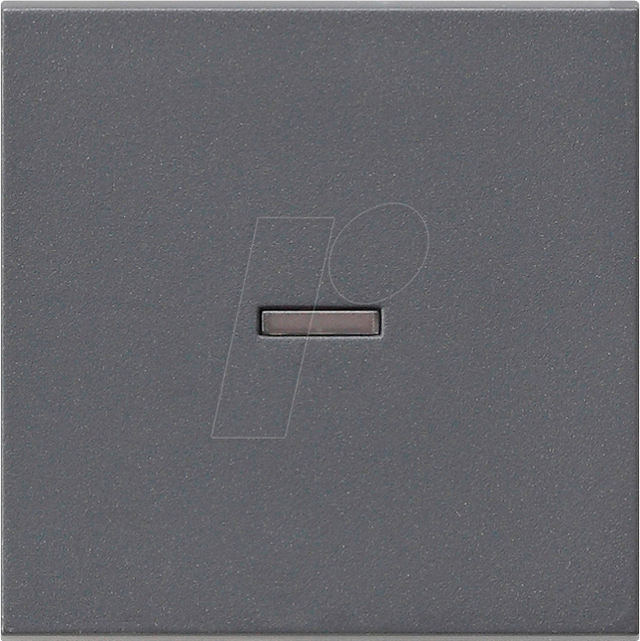 Gira Wippe anth mit Kontroll-Fenster 029028