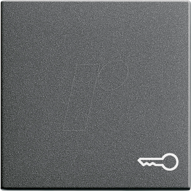 Gira Wippe Tür anth System55 028728