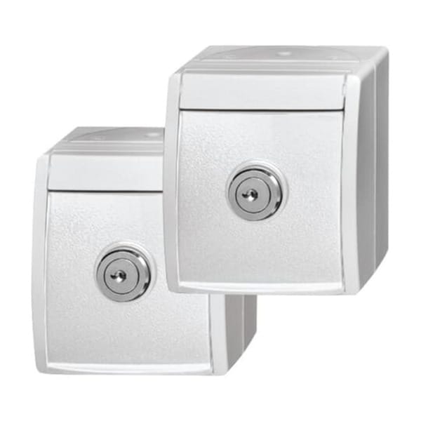 Busch-Jaeger Steckdose aufputz 20/20 EWSL-54 - 2CKA002083A0836