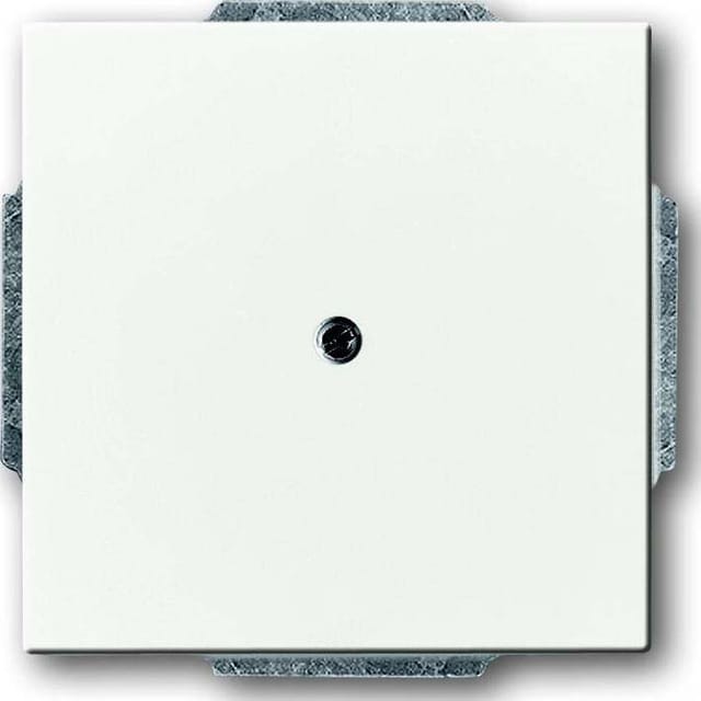 Busch-Jaeger Zentralscheibe dav/sws m.Tragr.f.Ltgsauslaß 1749-84 - 2CKA001710A3163