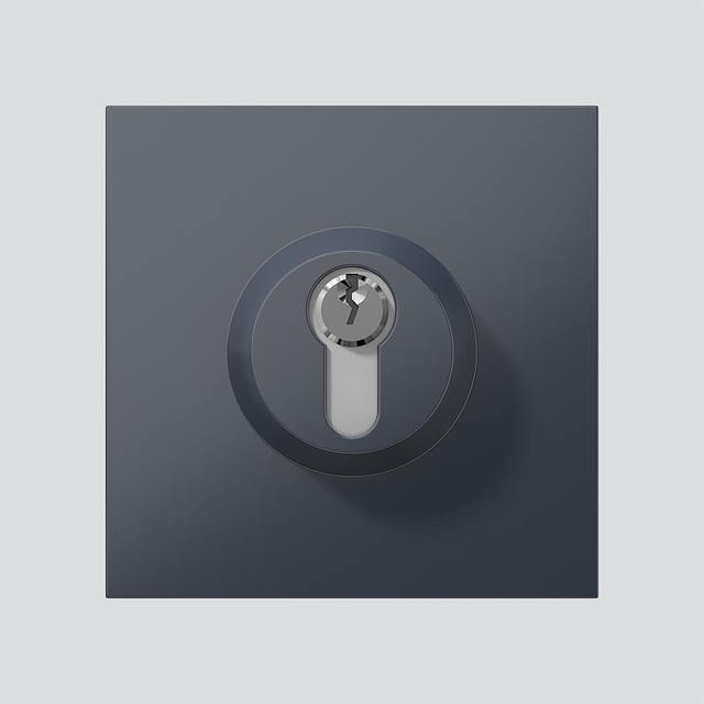 Siedle&amp;Söhne Schloss-Modul anthrazitgrau SM 611-01 AG