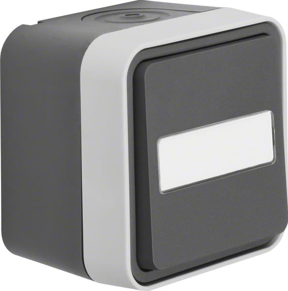 Berker Taster Wechsler lichtgrau 50763555
