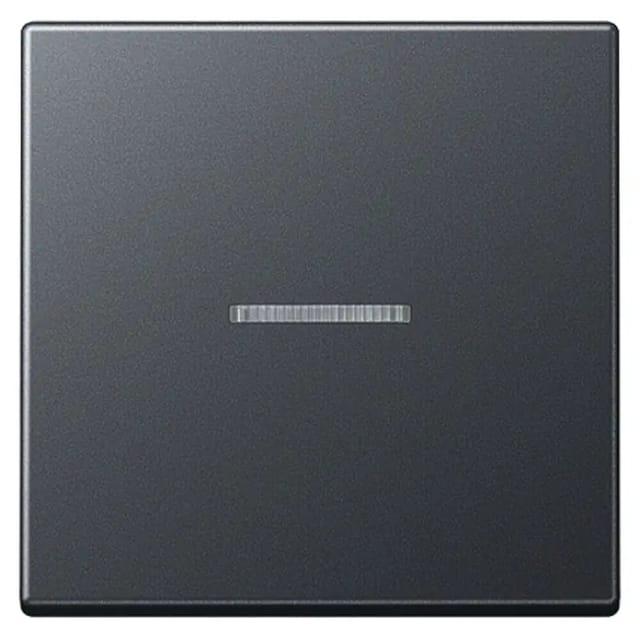 Jung Wippe mit Linse anthrazit matt A 590 BF KO5 ANM - A590BFKO5ANM