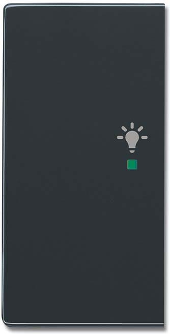 Busch-Jaeger Wippe 2-f li, Symbol Licht anthrazit 6231-21-81 - 2CKA006220A0050