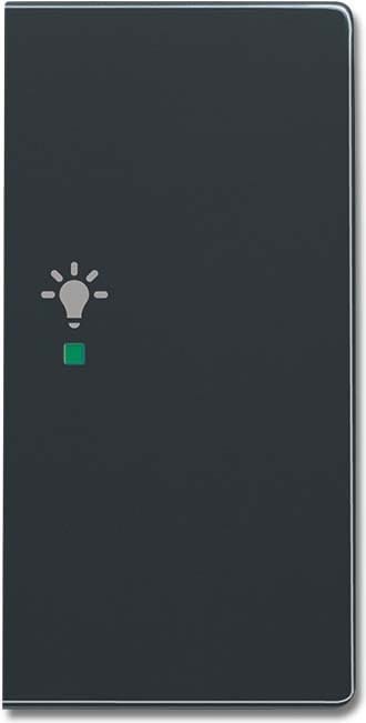 Busch-Jaeger Wippe 2-f re, Symbol Licht anthrazit 6231-22-81 - 2CKA006220A0062
