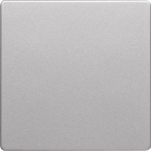 Berker Wippe alu/lack 16206084