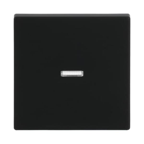 Busch-Jaeger Wippe schwarz matt 1789 N-885 - 2CKA001751A3154