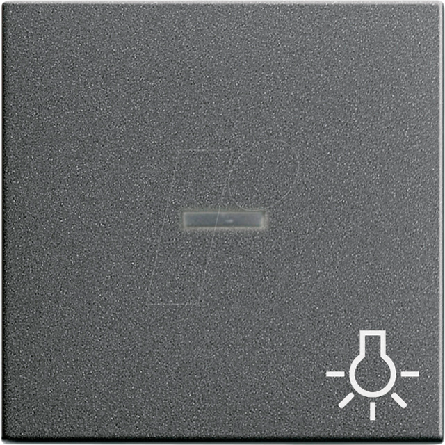 Gira Wippe Licht anth m.Fenster,System55 067428