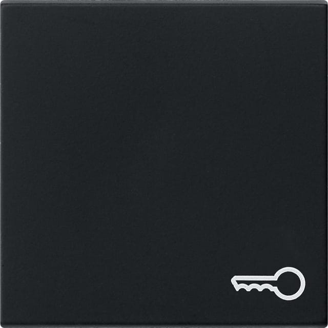 Gira Wippe sw Symb. Tür 0287005