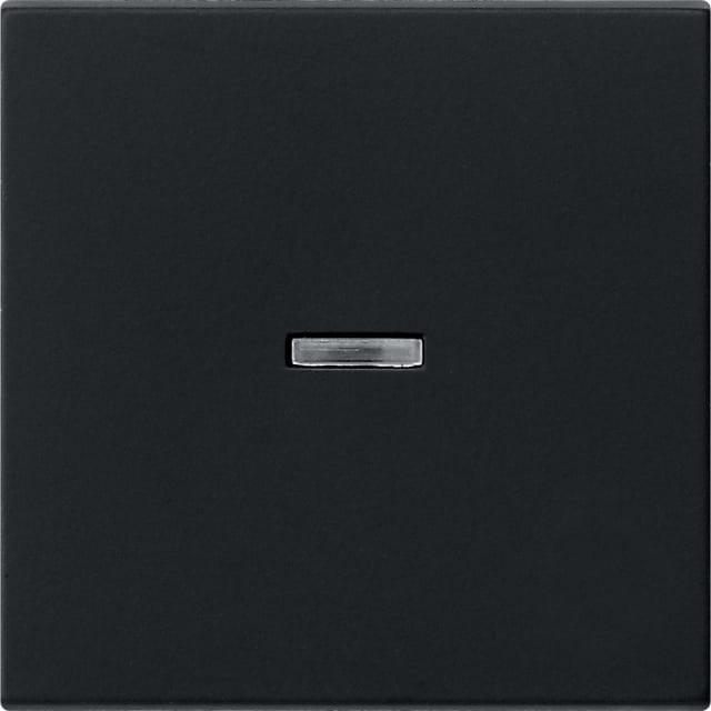 Gira Wippe sw Kontrollfenster 0290005