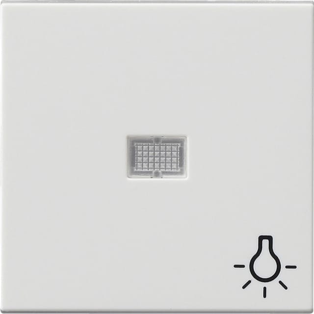 Gira Wippe rws-gl Symbol Licht 063003
