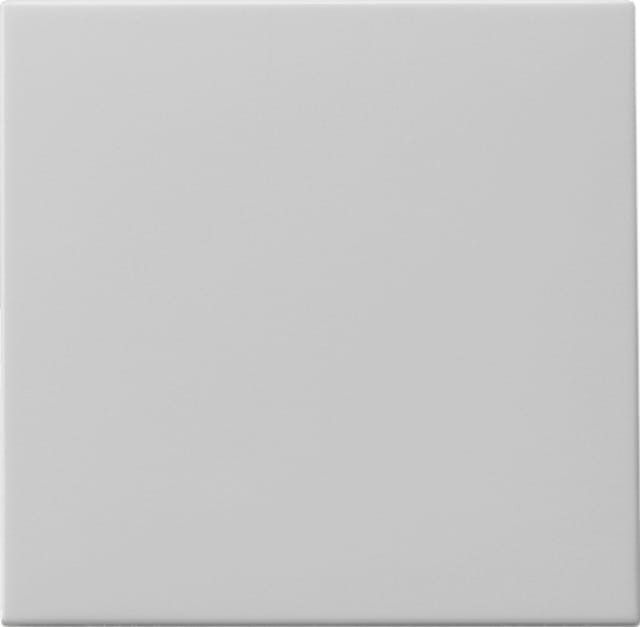Gira Wippe Tastschalter grau 0916015