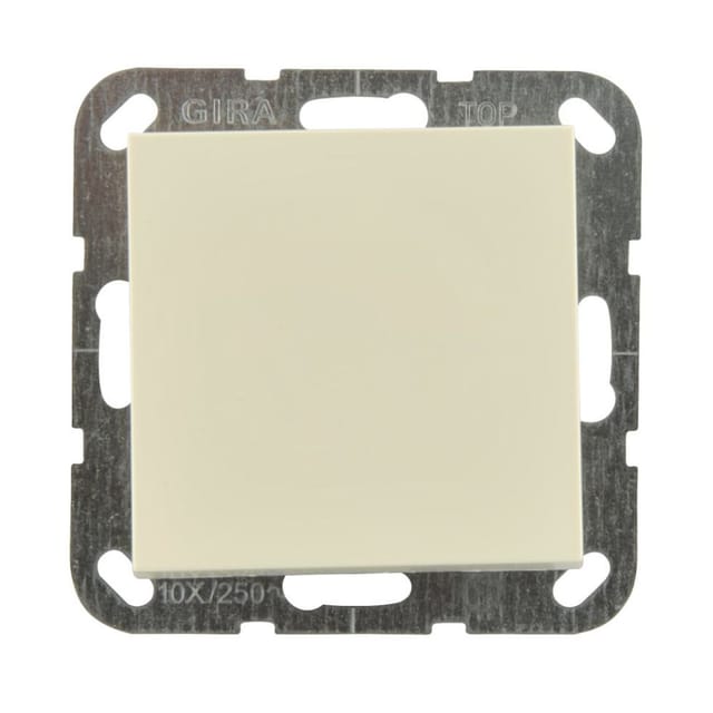 Gira Wippe Wechselsch. cws-gl System55 029601