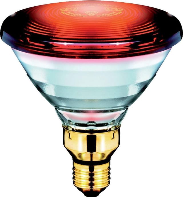 Philips Lighting IR-Reflektorlampe 230V E27 Infrared PAR38E 150W - 12887415
