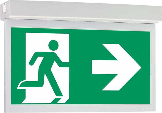Ceag Notlichtsysteme LED-Einzelbatterie-Leuchte m.autom. Funkt.test 11821 1-8h/D CGLine+ - 40071353269