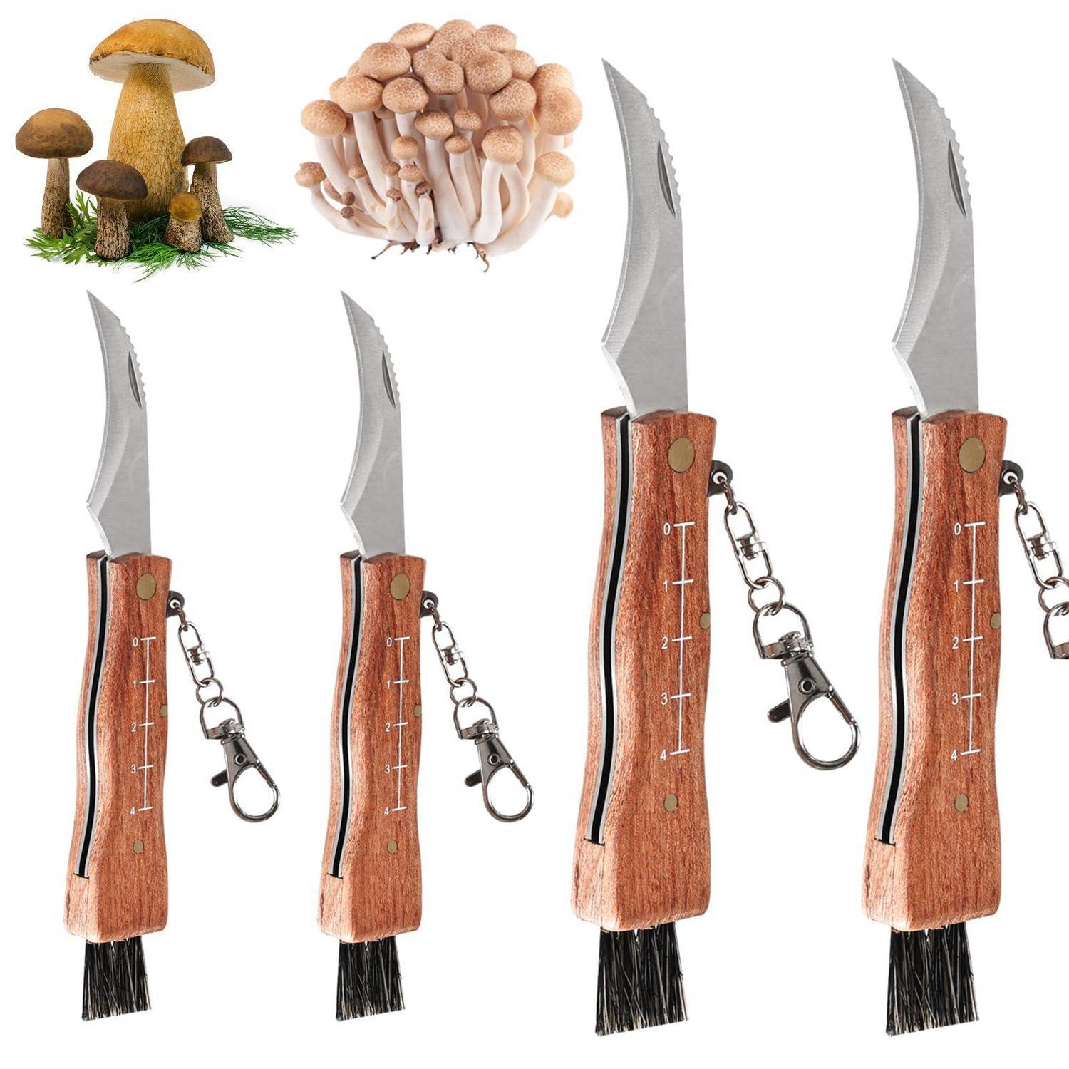 Pilzmesser Set 4 Stück Mit Bürste Und Lineal, Klappmesser Mit Holzgriff Für Pilzsammler