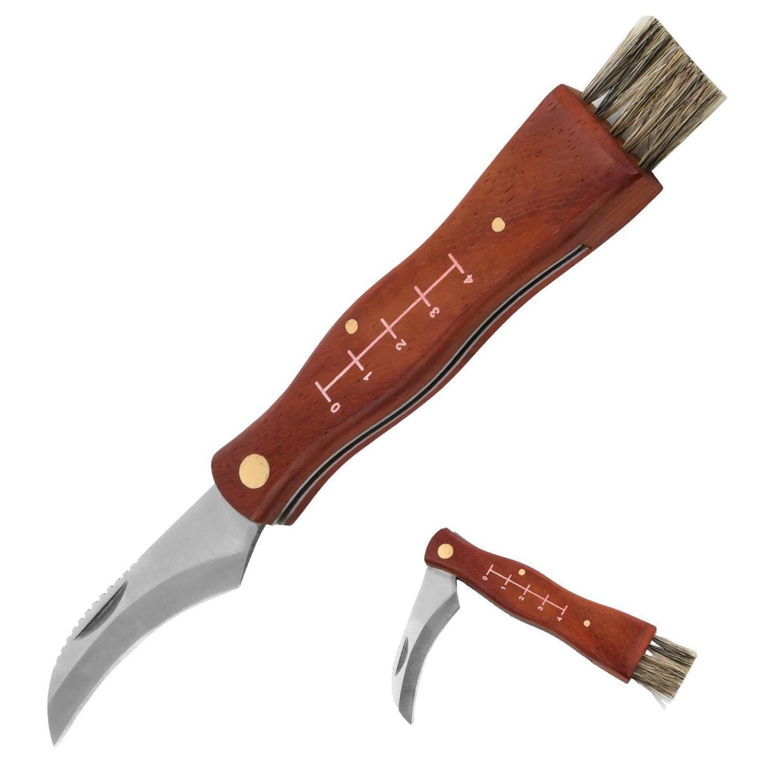 Klappmesser Mit Bürste, Holzgriff, Edelstahl, Für Pilzsammeln & Outdoor