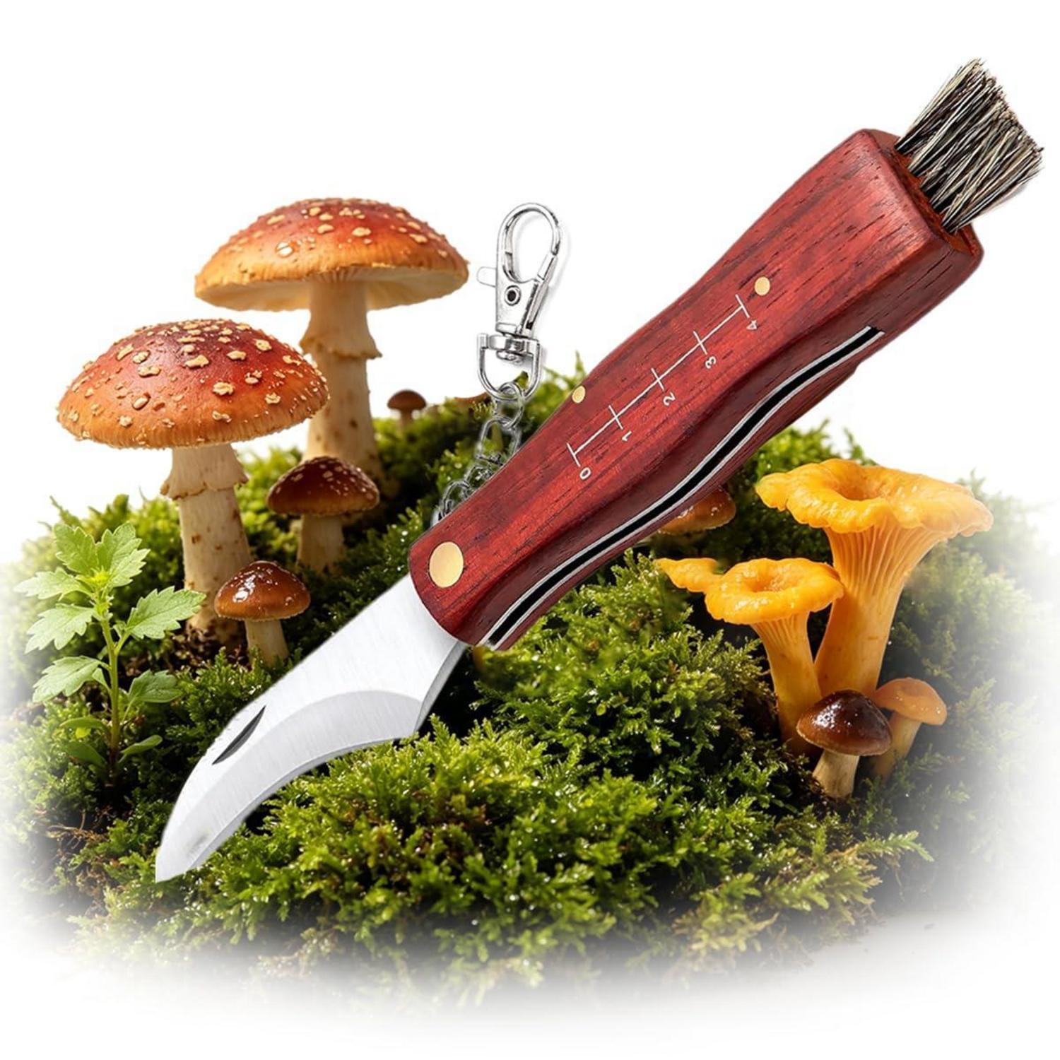 Pilzmesser Mit Bürste Und Lineal, Klappmesser Mit Holzgriff