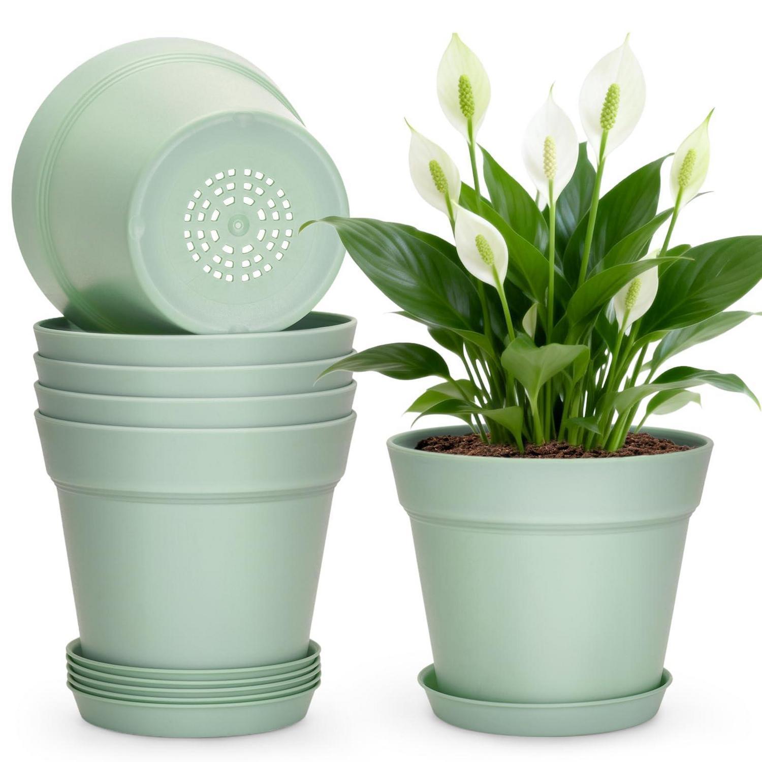6er Set Blumentöpfe Mit Untersetzer 15cm Grün, Kunststoff Pflanztopf Für Kakteen & Kräuter