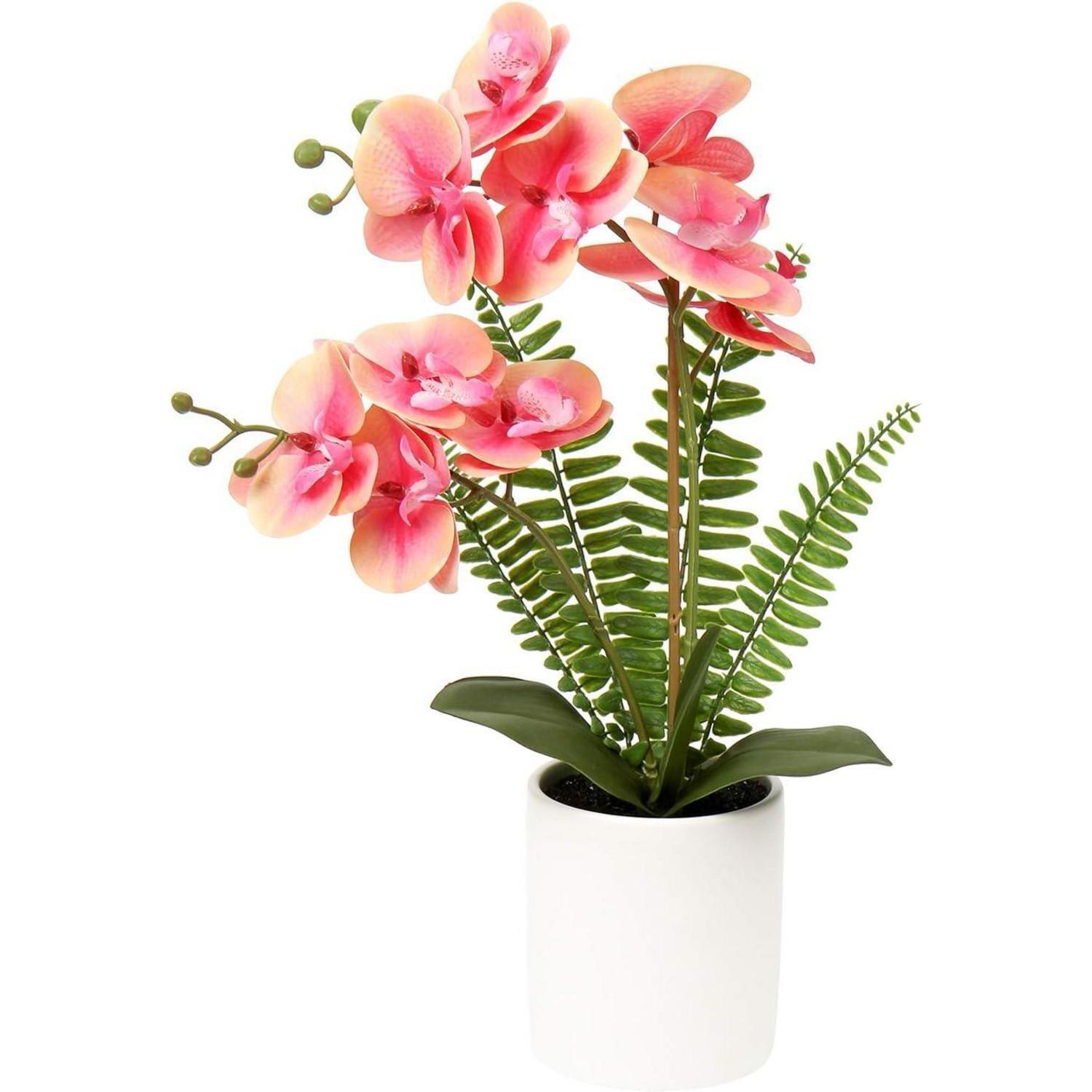 Kunstorchidee Phalaenopsis Im Keramiktopf, 40,5cm, Weiß/rosa