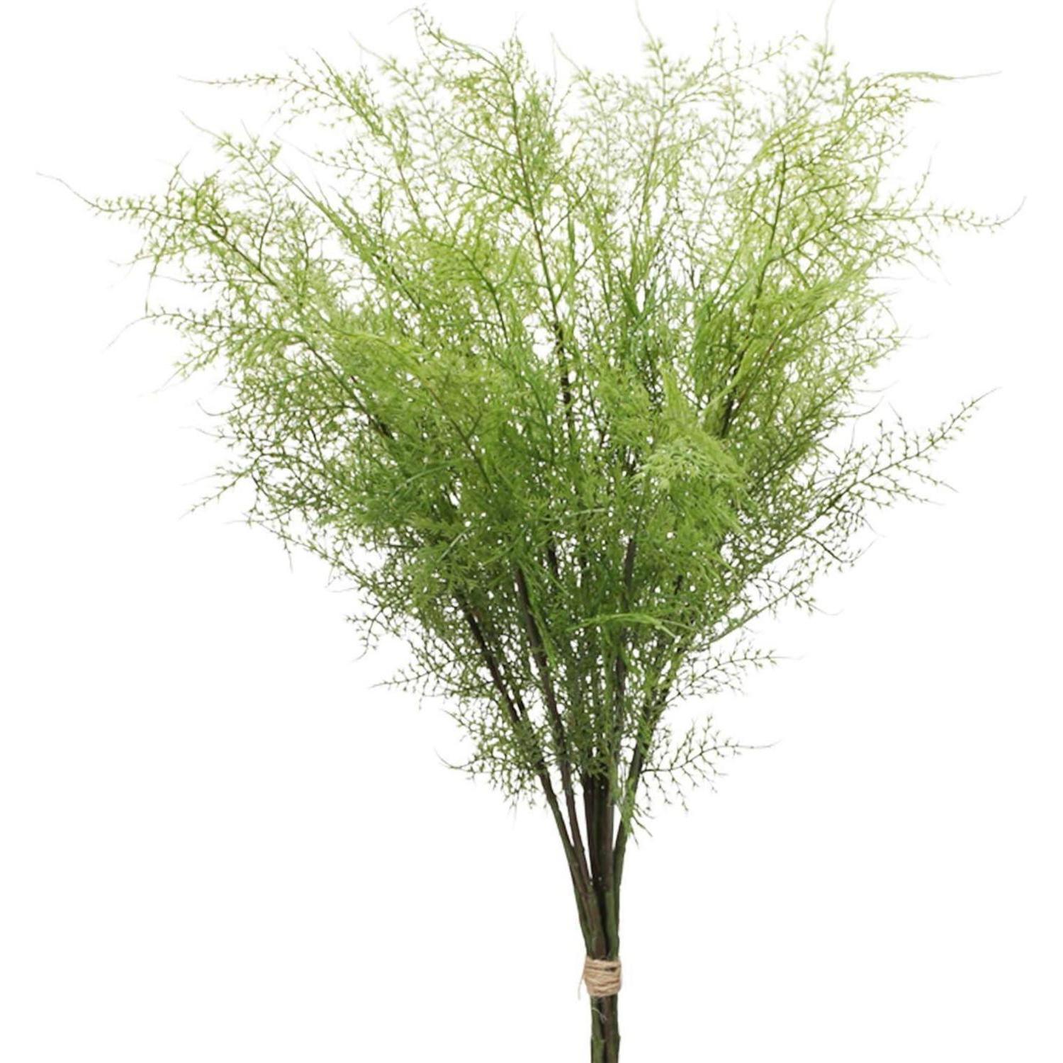 Künstlicher Farnzweig 76cm, 3er Set, Spargelzweige Für Dekoration