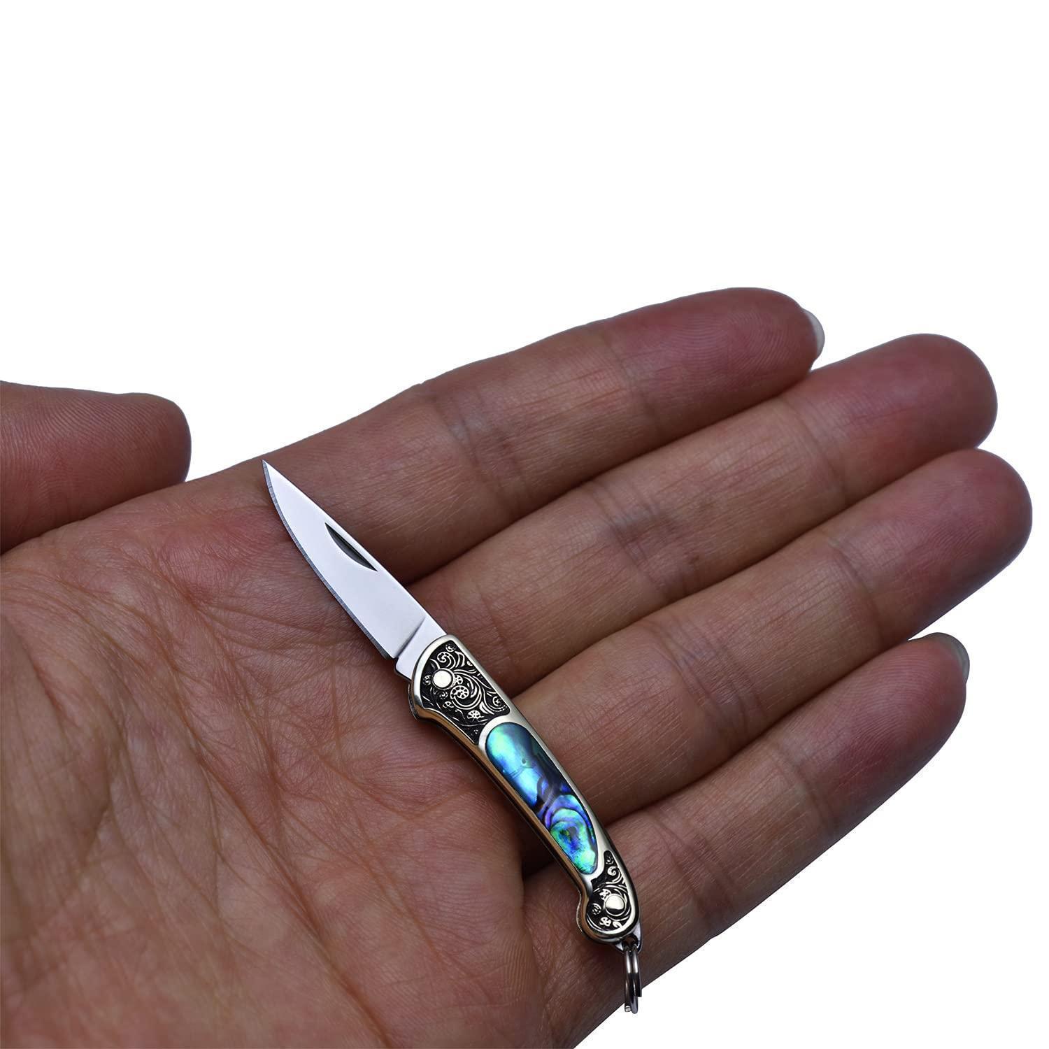 Mini Klappmesser Mit Abalone-muschel Griff, 9g Edc Taschenmesser, Edelstahlklinge