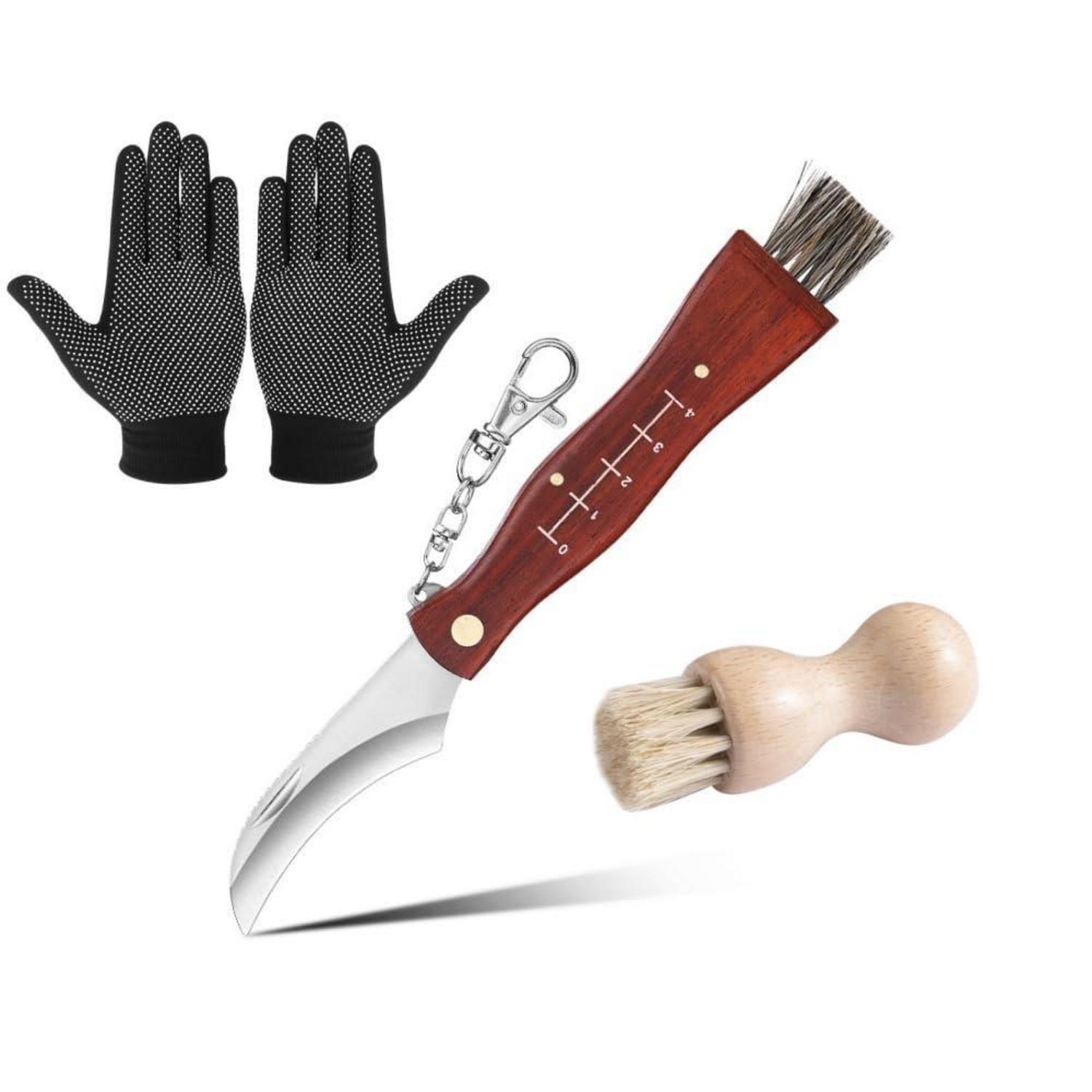 Pilzmesser Klappmesser Mit Bürste Und Handschuhen Aus Edelstahl