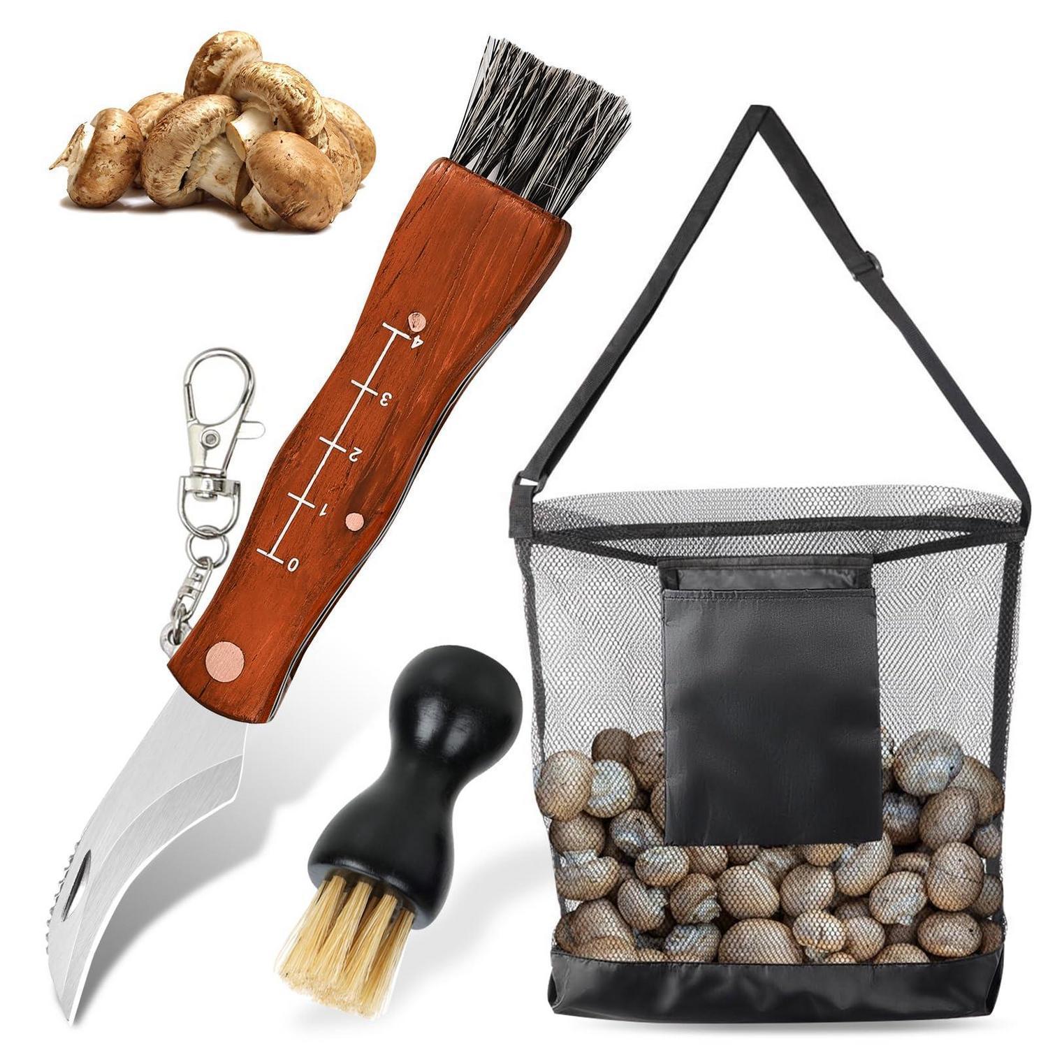 Pilzmesser Mit Bürste Und Tasche, Klappbar, Edelstahl, Holzgriff