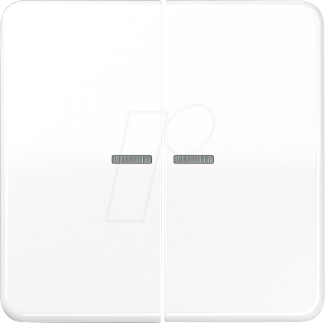 Jung Taster 2fach HOME BT CD 17102 WW - BTCD17102WW