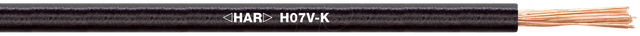 Lapp Kabel&amp;Leitung H07V-K 1x6 BU 4520024 R100 - 4520024/100