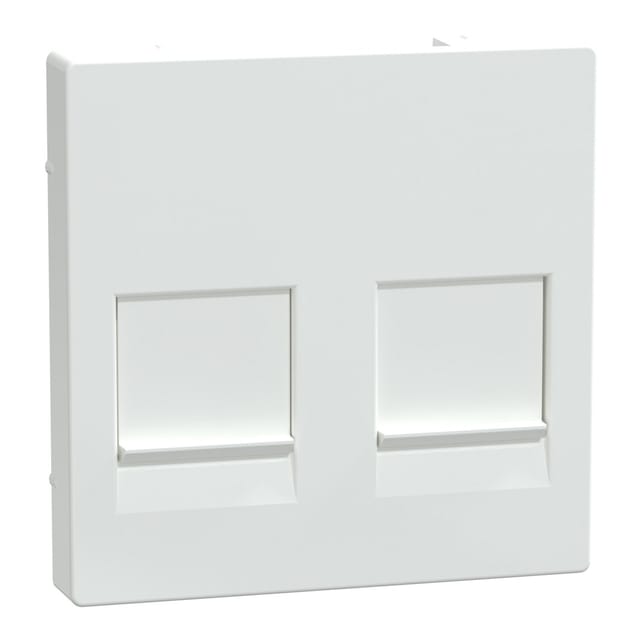 Merten Zentralplatte 2f.akws/gl für Modular-Jack MEG4562-0325