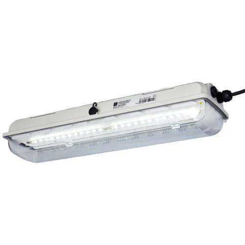 Stahl Ex-LED-Langfeldleuchte 6002/4148-010#267074