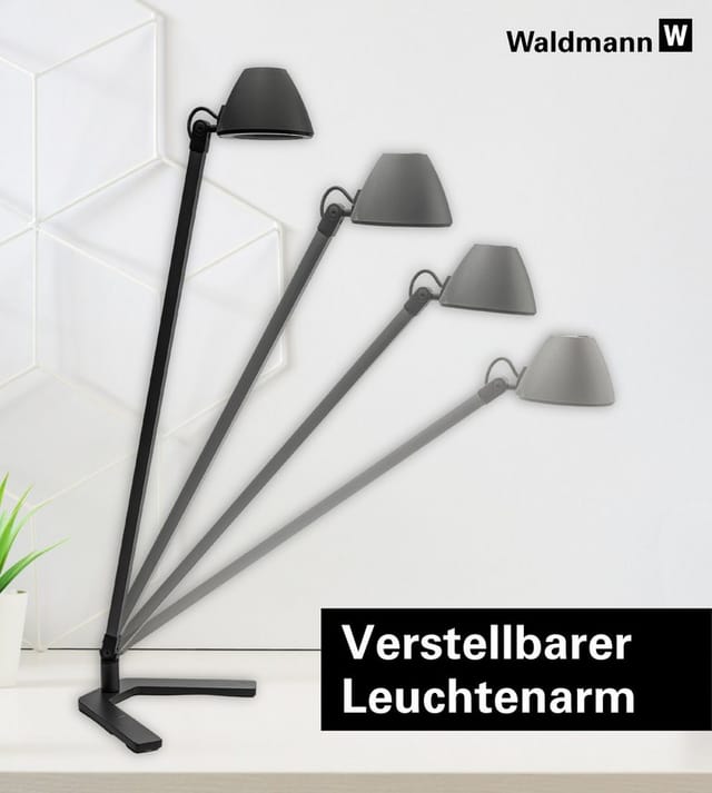 Waldmann Light LED-Arbeitsplatzleuchte 840 00804142