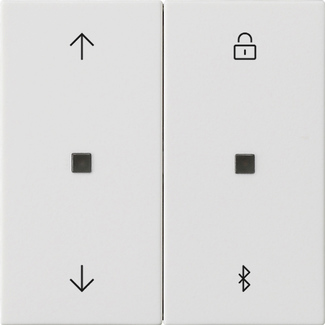 Gira Jalousie- + Schaltuhr Bluetooth Sys.55 rwm 536727