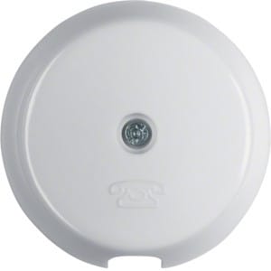 Berker Zentralstück pws 1037 - 1037
