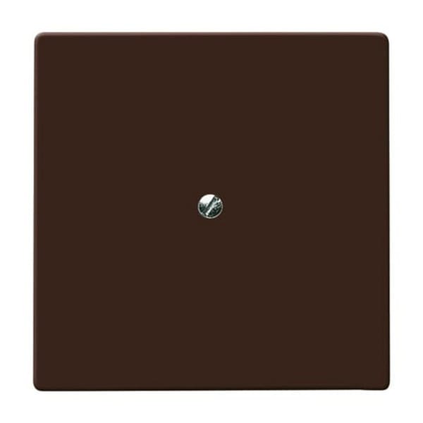 Busch-Jaeger Blindzentralscheibe br mit Tragring 2138-31 - 2CKA001710A3799