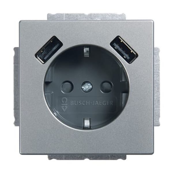 Busch-Jaeger SCHUKO-2x USB Steckdose 20 EUCB2USB-866 - 2CKA002011A6283