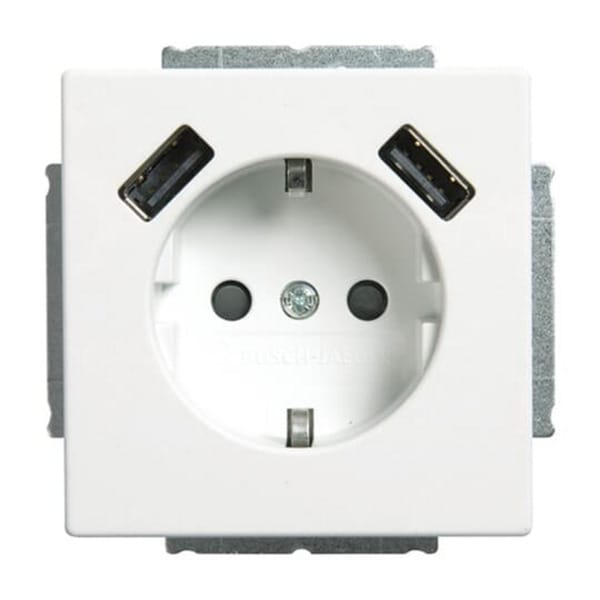 Busch-Jaeger SCHUKO-2x USB Steckdose 20 EUCB2USB-884 - 2CKA002011A6277