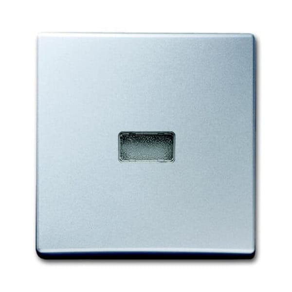 Busch-Jaeger Wippe alusilber Kontroll-Wechsel 2107-33 - 2CKA001731A1965