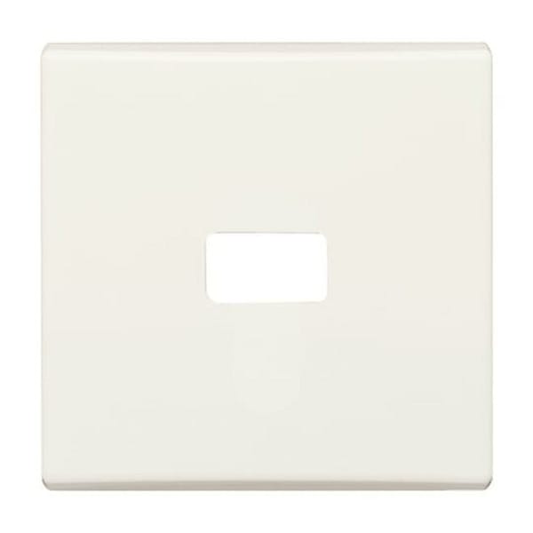 Busch-Jaeger Wippe cws offen für Symbol 2120-32 - 2CKA001731A1817