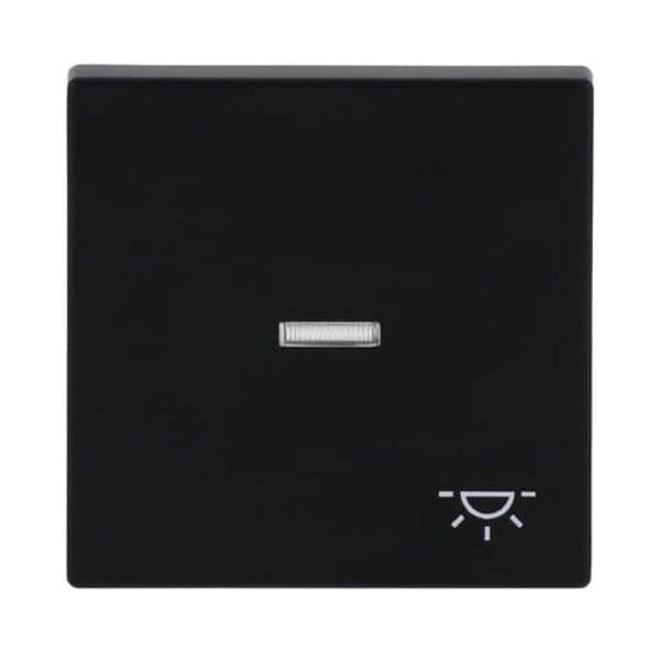 Busch-Jaeger Wippe sw mt mit Symbol Licht 1789 LI-885 - 2CKA001751A3045