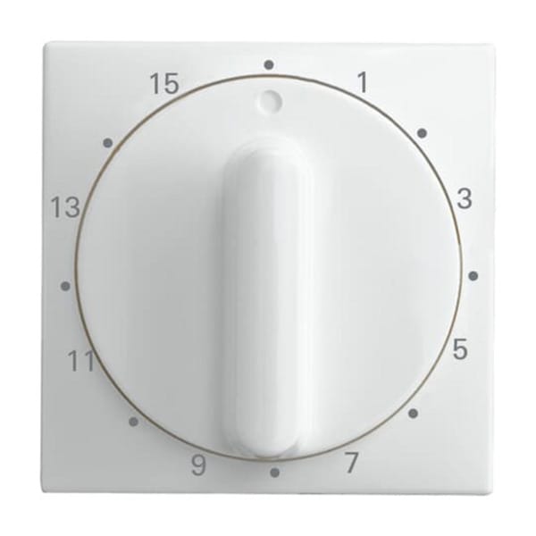 Busch-Jaeger Zentralscheibe alpinweiß Bedienelement 1770-914-103 - 2CKA001753A0263