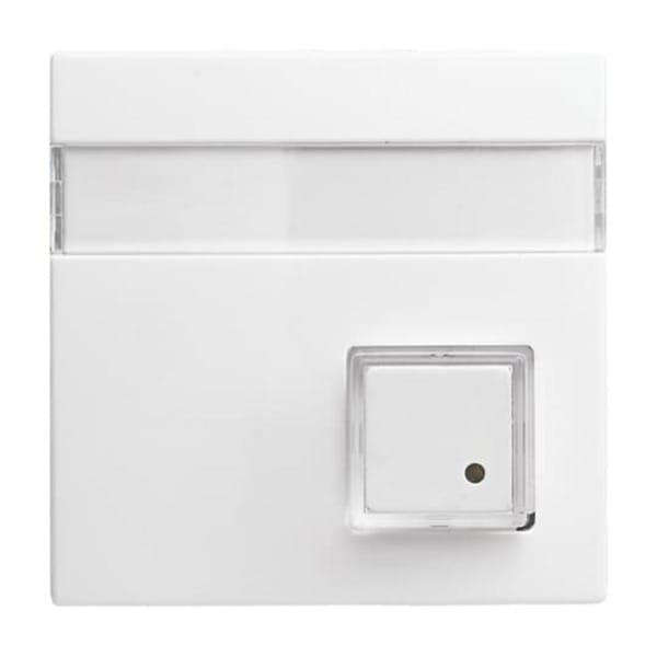 Busch-Jaeger Zentralscheibe alpinws 1571 CN-914 - 2CKA001582A0397