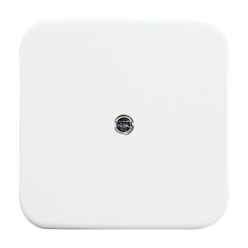 Busch-Jaeger Zentralscheibe aws VDo Telefonverbinderdose 2536-214 - 2CKA001724A0921