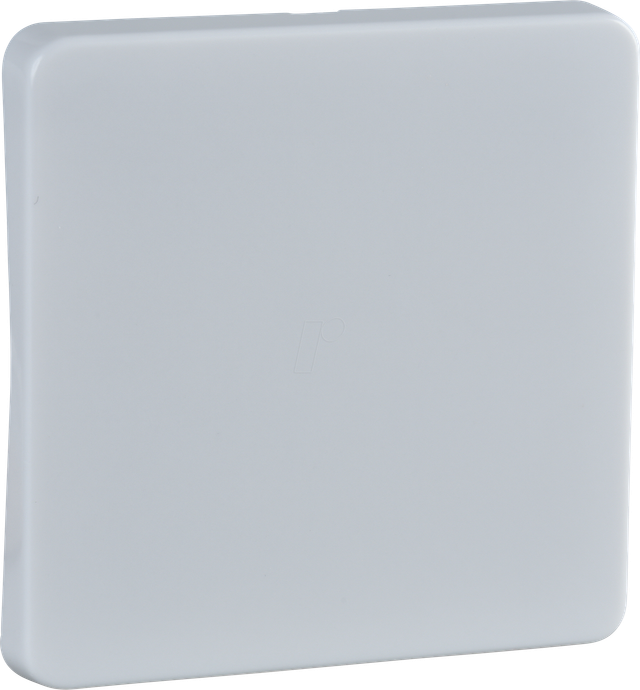 Elso Wippe rw f. Taster/Schalter 213604 - 213604