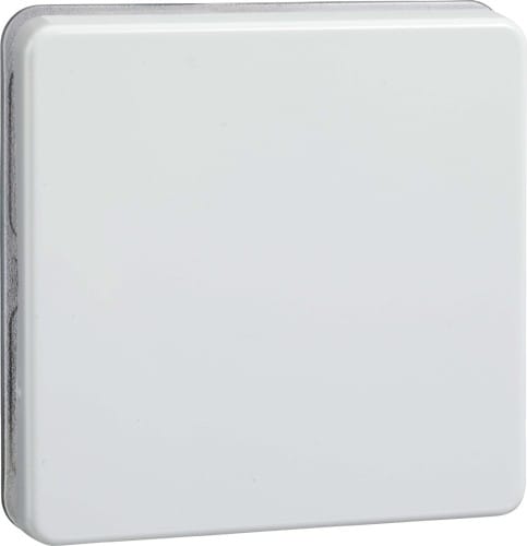 Elso Wippe rw f.Taster/Schalter 233604 - 233604